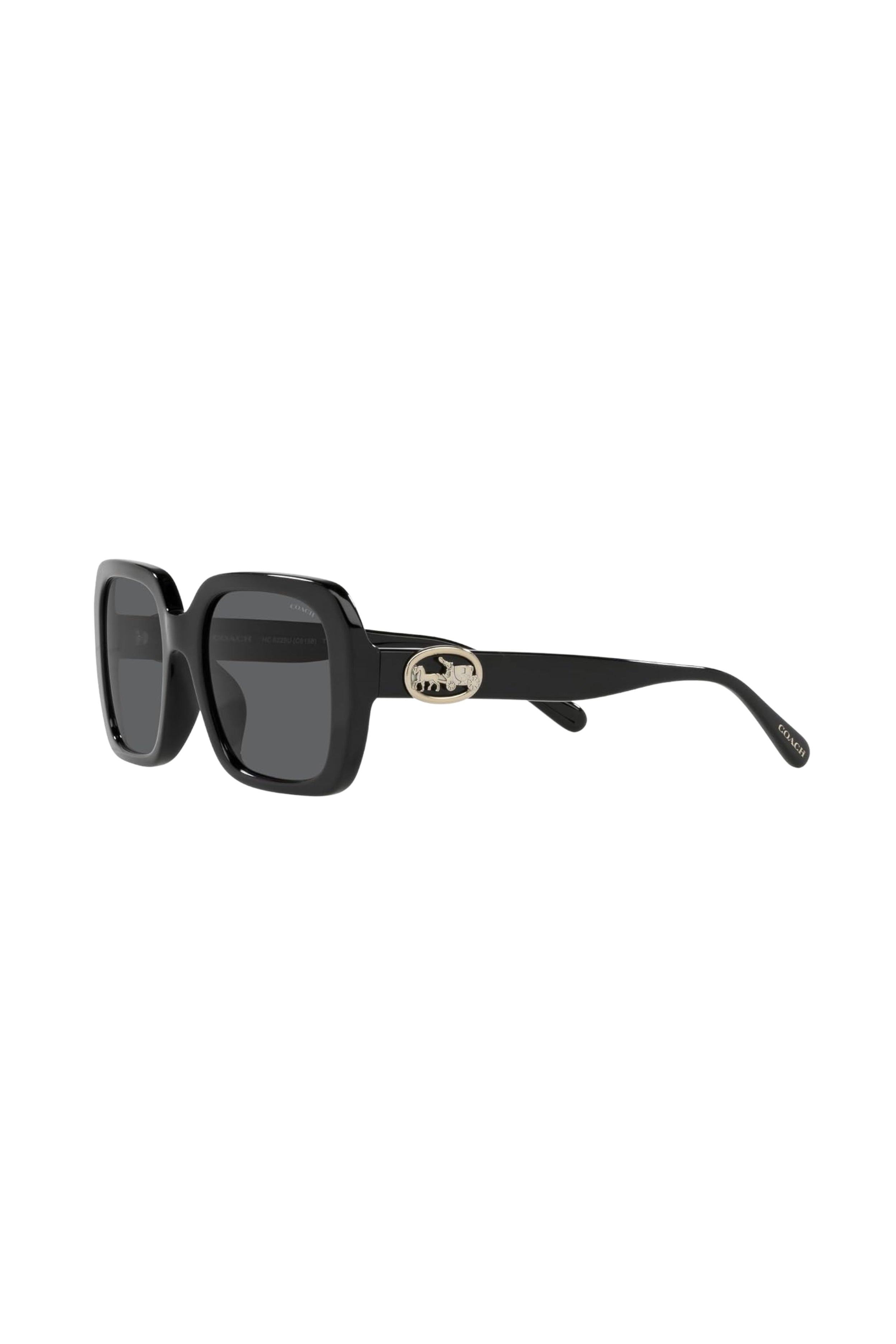 Black Oversized Sunglasses by Coach