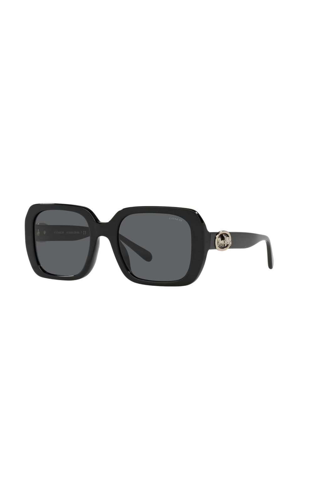 Black Oversized Sunglasses by Coach