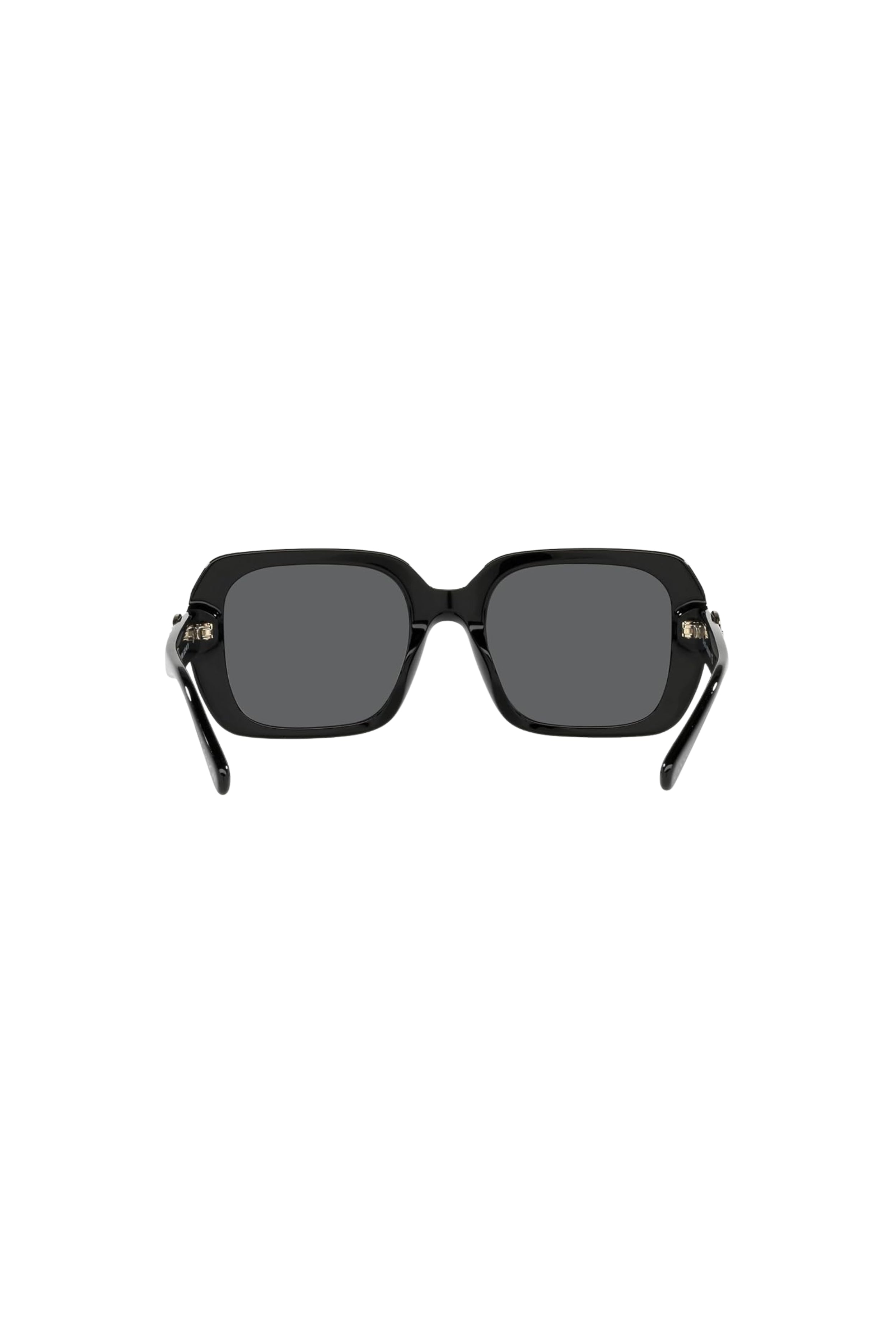 Black Oversized Sunglasses by Coach