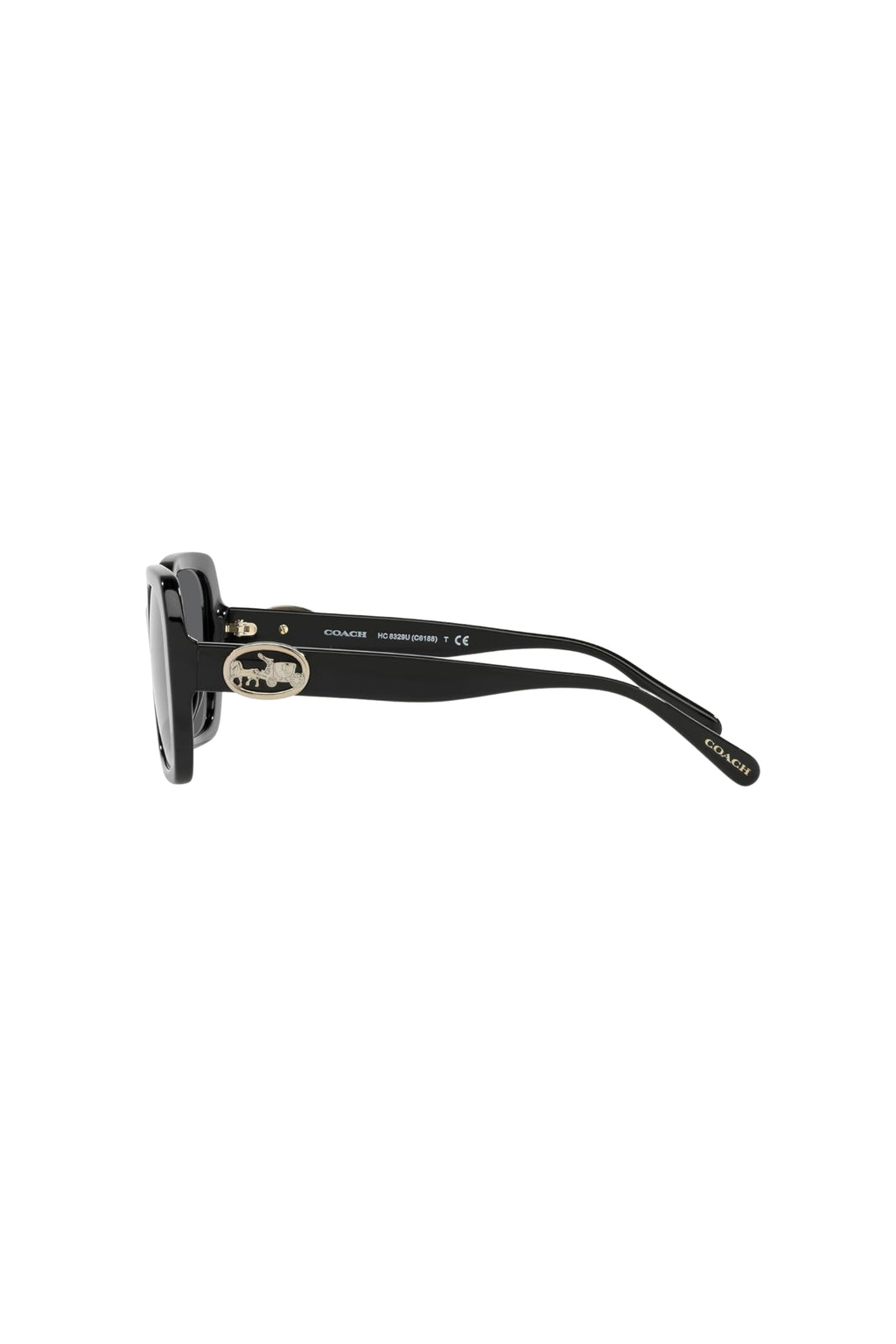 Black Oversized Sunglasses by Coach