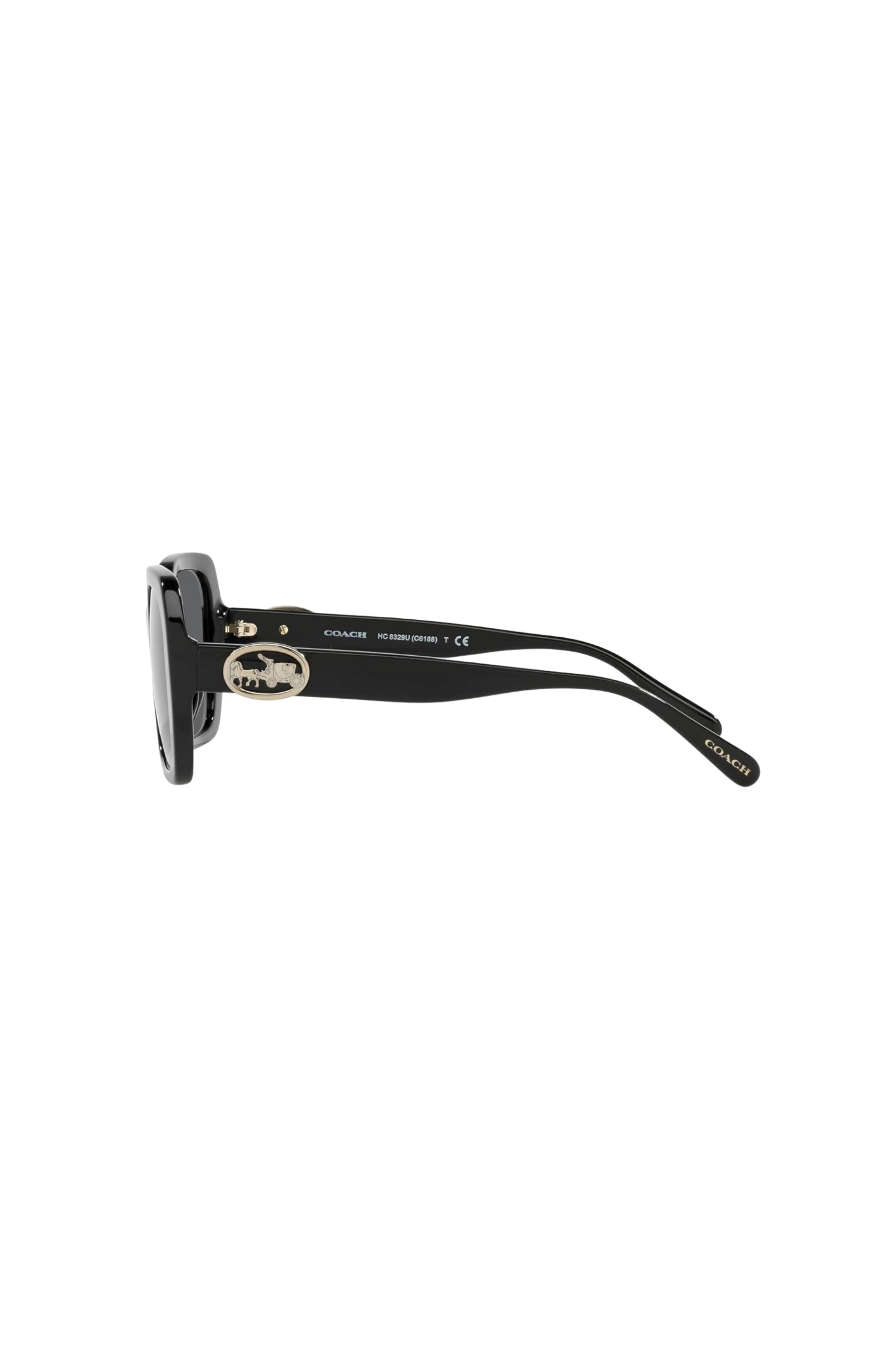 Black Oversized Sunglasses by Coach