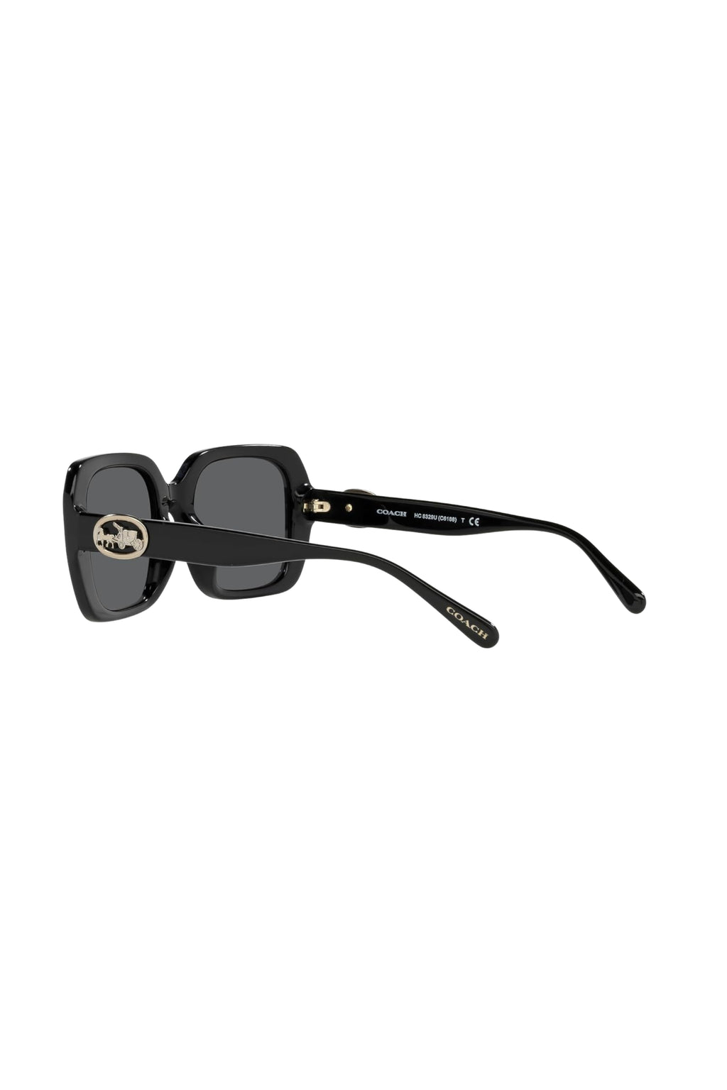 Black Oversized Sunglasses by Coach