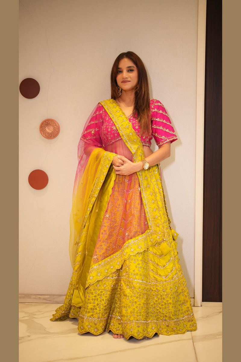 Festive Hues, Timeless Elegance Chaniya Choli