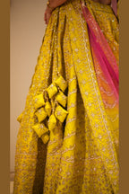 Festive Hues, Timeless Elegance Chaniya Choli