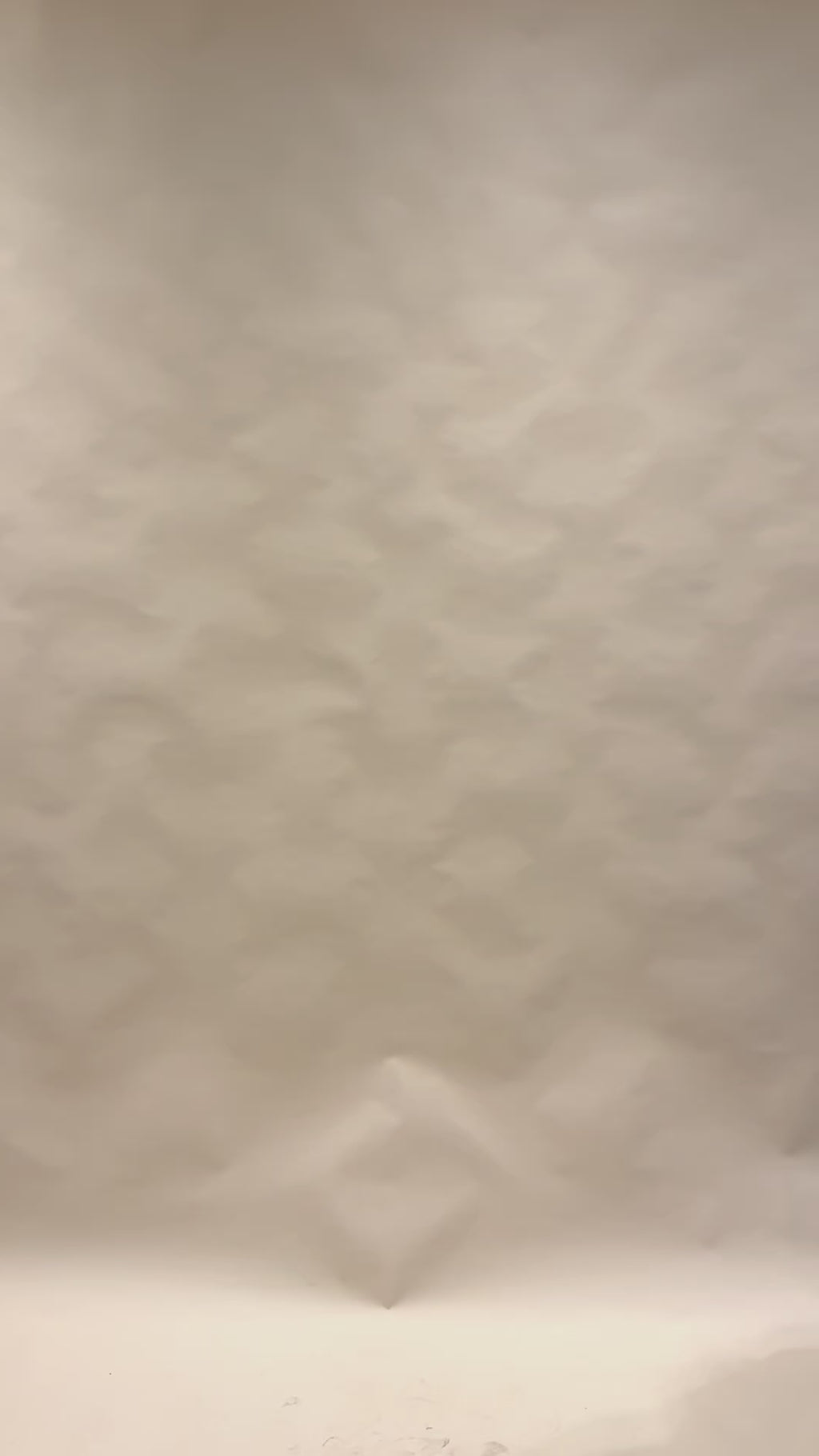 Elegant Pleated Green High-Neck Co-Ord